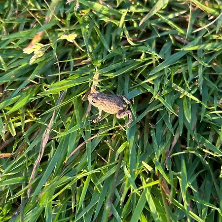 Ferienapartment Hahnenklee 1 Lägenhet Goslar