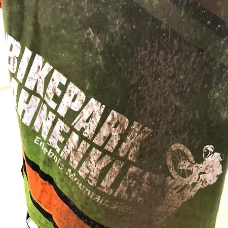 Ferienapartment Hahnenklee 1 Goslar