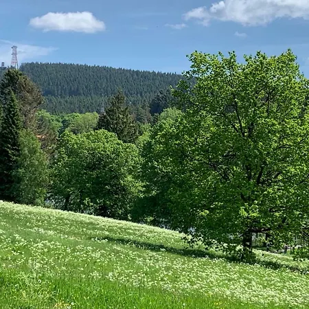 Ferienapartment Hahnenklee 1 *