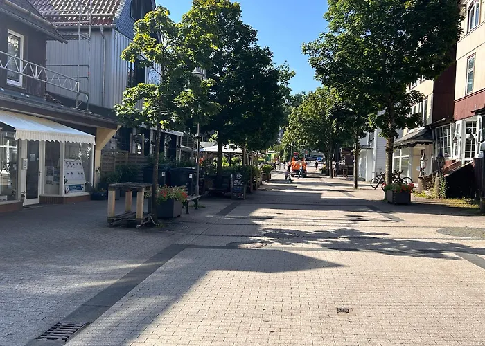 Apartamento Ferienapartment Hahnenklee 1 *