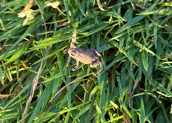 Ferienapartment Hahnenklee 1 Apartamento Goslar